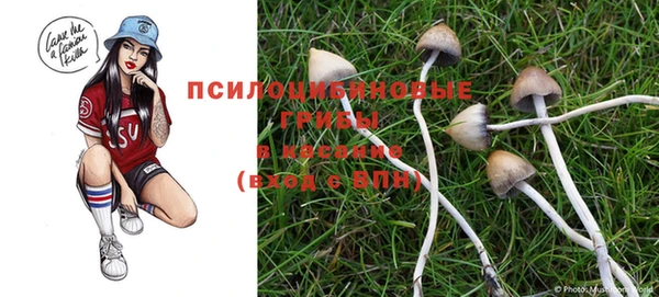 прущая мука Гусев